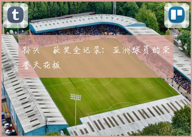 孙兴慜获奖全记录:亚洲球员的荣誉天花板